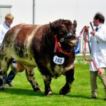 The 176th Royal Highland Show starts today