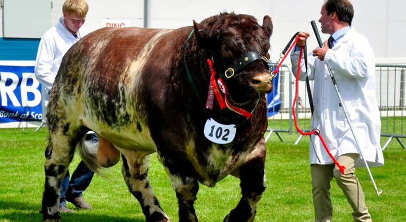 The 176th Royal Highland Show starts today