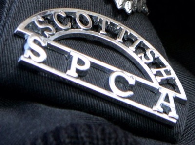 SSPCA appeal after dog abandoned in Edinburgh