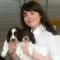Scottish SPCA welcomes MSP Emma Harper’s debate on illegal puppy trafficking