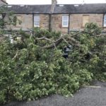 In Pictures: Storm Ali