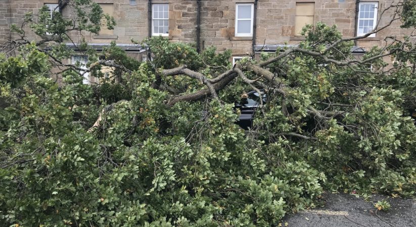 In Pictures: Storm Ali