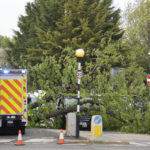 Tree falls on top of taxi in Davidson’s Mains