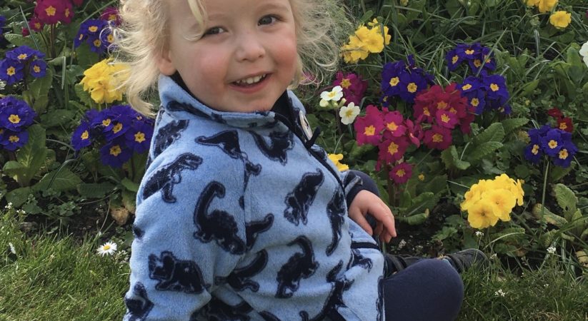 Family pay tribute to toddler killed in Morningside Road collision